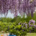 I Corni Di Nibbio Bed & Breakfast