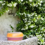 I Corni Di Nibbio Bed & Breakfast Mergozzo