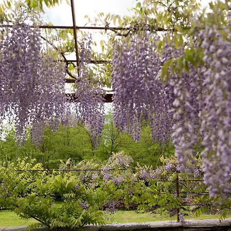 I Corni Di Nibbio Alojamento de Acomodação e Pequeno-almoço