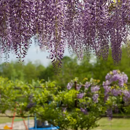 I Corni Di Nibbio Alojamento de Acomodação e Pequeno-almoço