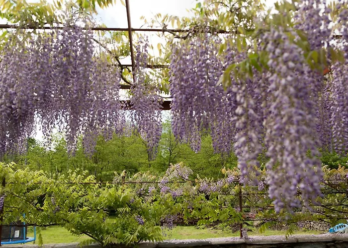 I Corni Di Nibbio Bed & Breakfast