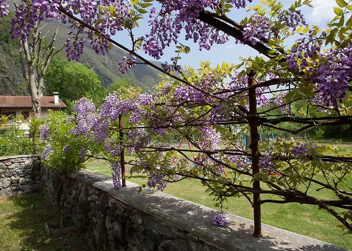 I Corni Di Nibbio ميرجوزو